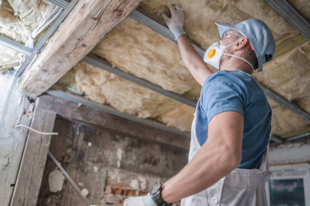 Best Insulation Maintenance and Repair in Smith Center, KS